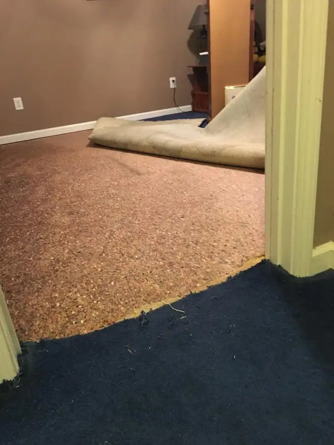 Carpet pad removal revealing water damage during Drying & Dehumidification in Norwood