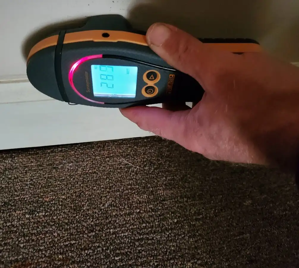 Moisture detection at baseboard during Burst Pipe Cleanup in Norwood